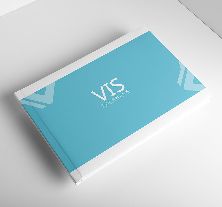 VIS設(shè)計(jì)