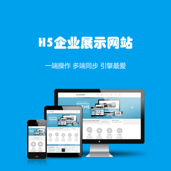 H5網(wǎng)站建設(shè) 設(shè)計(jì)與開發(fā)的全面指南